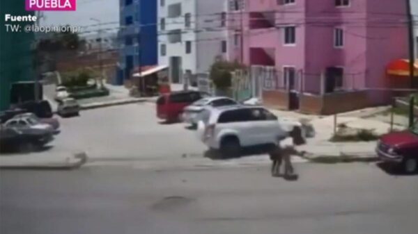 Conductor borracho mata a dos menores tras atropellarlos