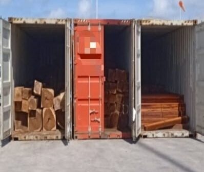 Golpe de la FGR a traficantes de madera en Yucatán.