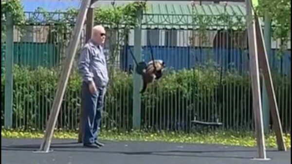 Tener una mascota no solo es alimentarla y proporcionarle bienestar, también necesita recreación, sino checa la historia de este gato