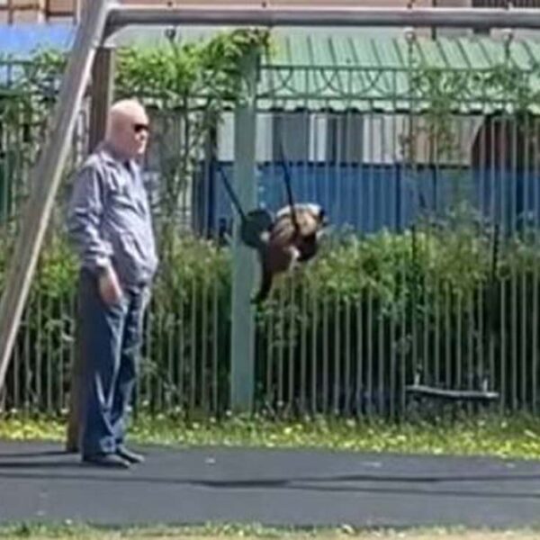 Tener una mascota no solo es alimentarla y proporcionarle bienestar, también necesita recreación, sino checa la historia de este gato