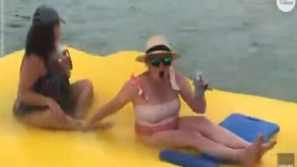 Bañista que disfrutaba de una divertida tarde se llevaron el susto de sus vidas, pues varios tiburones comenzaron a nadar a su alrededor