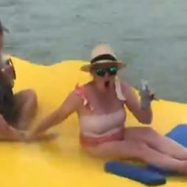 Bañista que disfrutaba de una divertida tarde se llevaron el susto de sus vidas, pues varios tiburones comenzaron a nadar a su alrededor