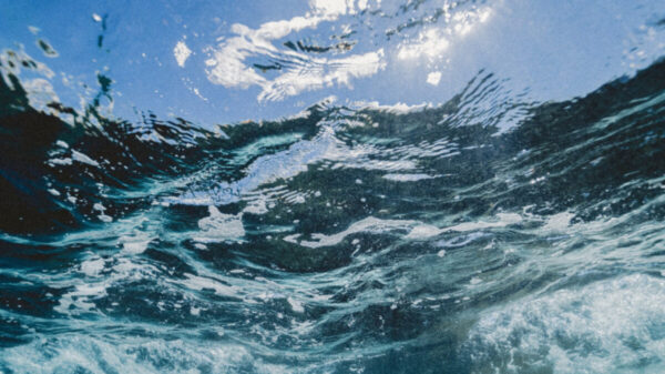 Los esfuerzos de investigación para extraer litio de los océanos habían dado pocos resultados, pero tal parece que se abre una posibilidad para ello