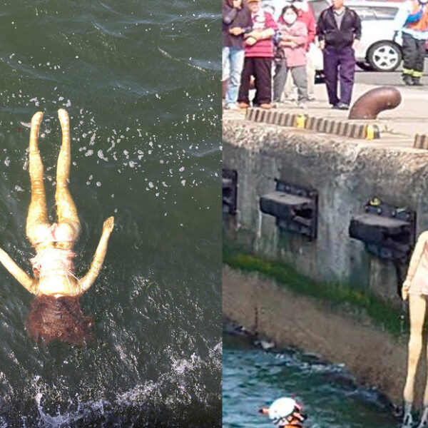 El reporte del cuerpo de una mujer flotando en el mar, generó la movilización de los servicios de rescate de Japón y se llevaron una sorpresa