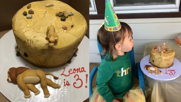 Una pequeña niña para celebrar su cumpleaños pidió una singular pastel para no compartirla con nadie, la imágenes del hecho se viralizan