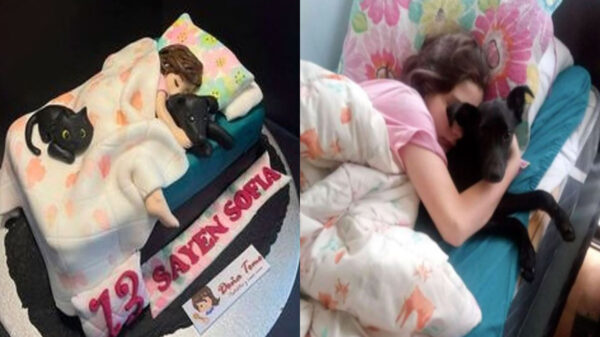 Niña recibe una épico pastel de cumpleaños, es una réplica de una fotografía en la que aparece en compañías de sus mascotas