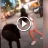 Este es el violento reto de TikTok que alerta a España: “La Caza del Pijo” (Video)
