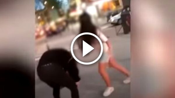 Este es el violento reto de TikTok que alerta a España: “La Caza del Pijo” (Video)