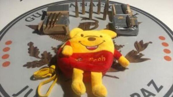 Encuentran peluche lleno de cartuchos de grueso calibre