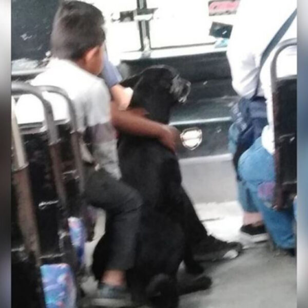 A pesar de la difícil situación que se vive en México por la pandemia, hay acciones que nos sacan una sonrisa y ese es el caso de un chofer de autobús en Puebla