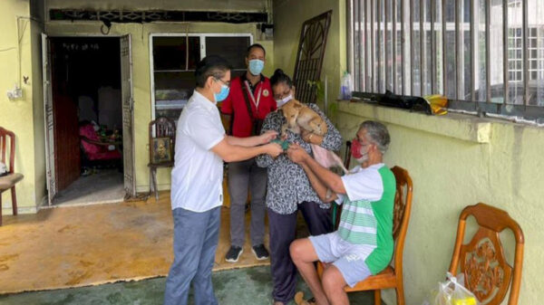 Los peludos no solo muestran fidelidad a sus humanos, sino que incluso pueden salvarles la vida, ese el caso de una perrita que alertó a una familia de un incendio