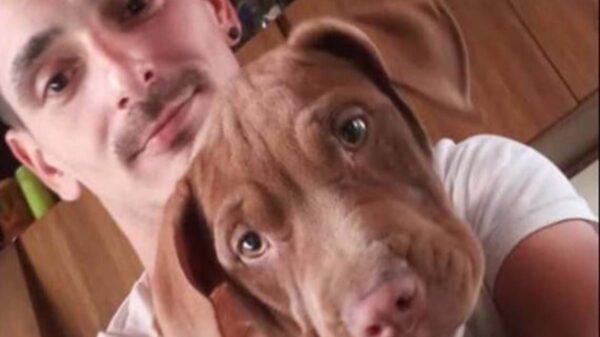 Tras el extraño rapto de su perrita pitbull, un joven de La Plata, Argentina, realizó una campaña en redes sociales para recuperar a la peluda
