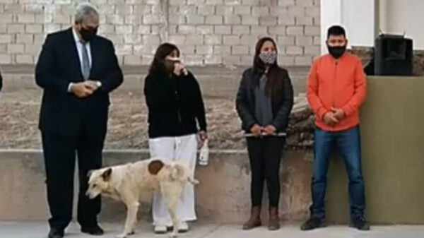 Lo único que me falta es que me orine un perro, es un dicho popular para referir mala suerte, pues bien, eso le sucedió a la presidenta municipal., Susana Prieto