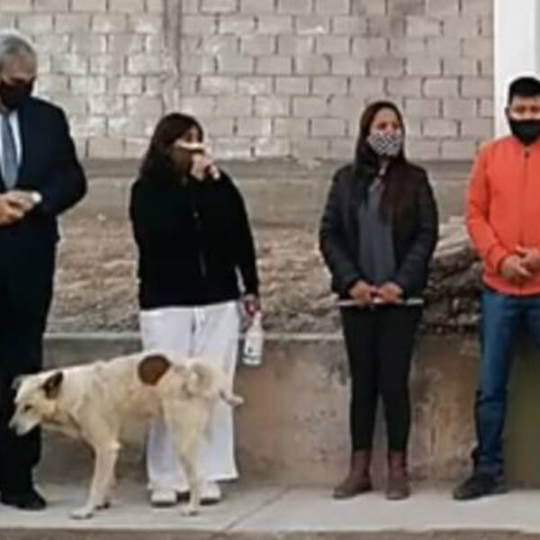 Lo único que me falta es que me orine un perro, es un dicho popular para referir mala suerte, pues bien, eso le sucedió a la presidenta municipal., Susana Prieto