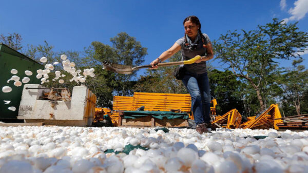 El Río Santiago, considerado uno de los más contaminados del país comenzará a sanearse con cáscaras de huevo