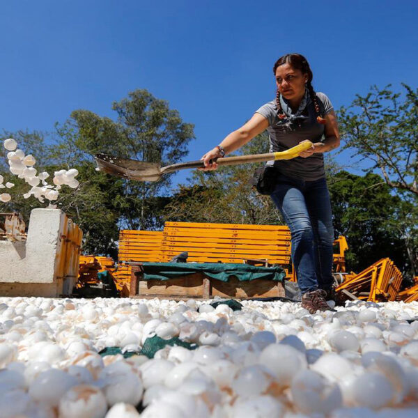 El Río Santiago, considerado uno de los más contaminados del país comenzará a sanearse con cáscaras de huevo