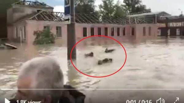 En redes sociales se viraliza el clip en el cual se acusa al gobernador de la ciudad de Kerch, de supuesto maltrato contra sus colaboradores