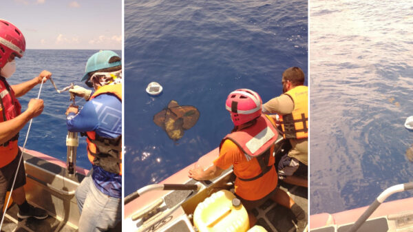 Quintana Roo: Liberan sondas para estudiar la trayectoria del sargazo.