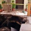 Reportan un socavón en una vivienda de la colonia Bojórquez de Mérida