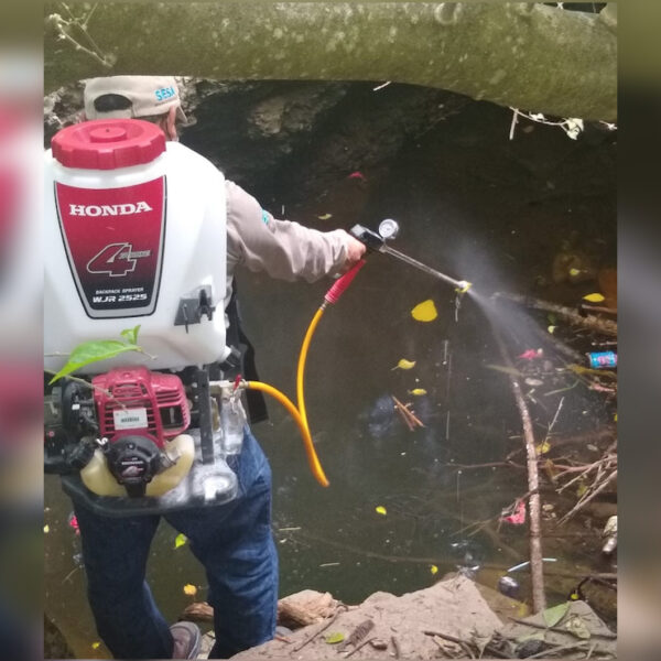 Aplican larvicidas en zonas inundadas para evitar dengue