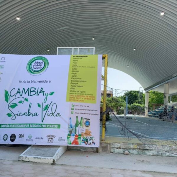 Realizan intercambio de reciclables por plantas en el domo de Holbox.