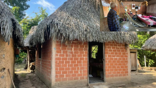 Abuelita de 77 años, es violada y golpeada por sujeto, en Veracruz