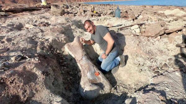 Científicos argentinos descubrieron un nuevo dinosaurio en la bajante del lago Los Barreales, según informó el medio La Mañana de Neuquén