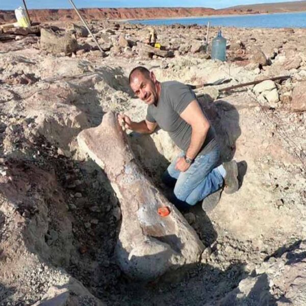 Científicos argentinos descubrieron un nuevo dinosaurio en la bajante del lago Los Barreales, según informó el medio La Mañana de Neuquén