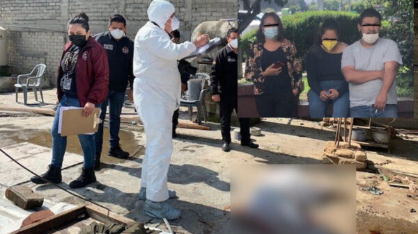 Justicia! Detienen a asesinos de perrito masacrado en EdoMex