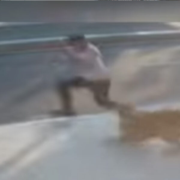 Mejor amigo del hombre? perro provoca atropellamiento