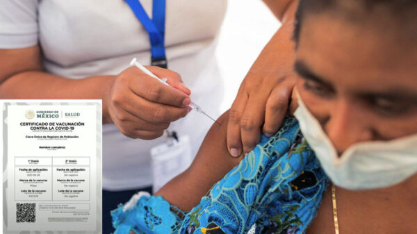 ¿Ya tienes tus vacunas contra Covid-19? Ya puede imprimir tu certificado