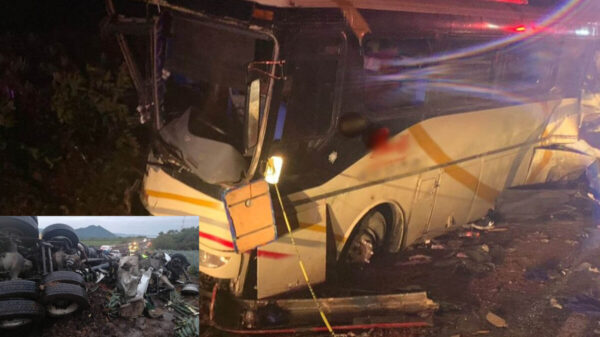 Choca tráiler con autobús de pasajeros; reportan 6 muertos