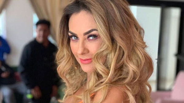 Con lencería negra Aracely Arámbula deja sin aliento a sus fans