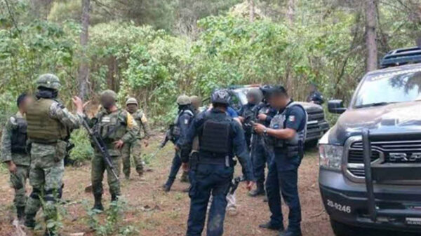 En Michoacán, encuentran 8 cuerpos ejecutados en un campamento