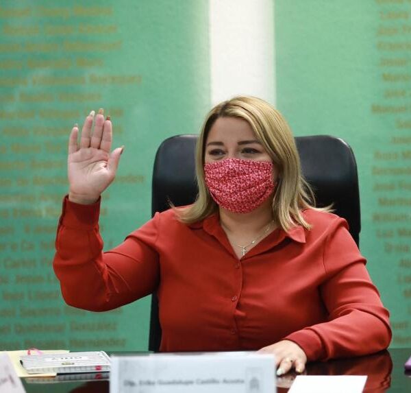 Busca diputada parchar otra vez la Ley de Movilidad de Quintana Roo.