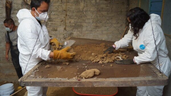 Van 4 mil restos, son 19 víctimas en casa de feminicida de Atizapán