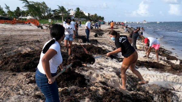 Comunidad religiosa de Puerto Morelos participa en limpieza de playas