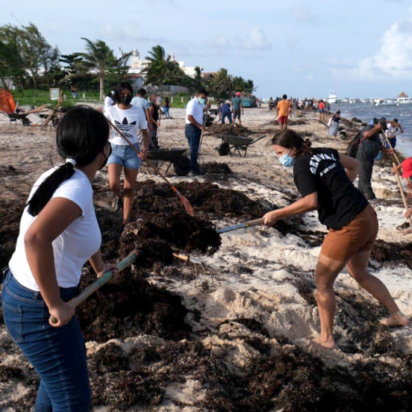 Comunidad religiosa de Puerto Morelos participa en limpieza de playas