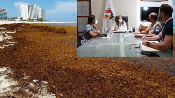 Redobla gobierno de Cancún coordinación para atención al sargazo