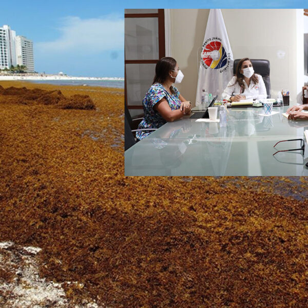 Redobla gobierno de Cancún coordinación para atención al sargazo