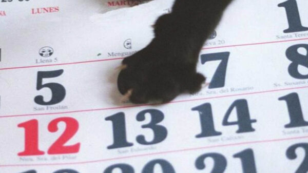 ¿Por qué martes 13, es considerado como de mala suerte?