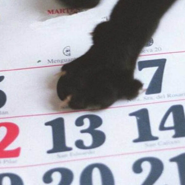 ¿Por qué martes 13, es considerado como de mala suerte?