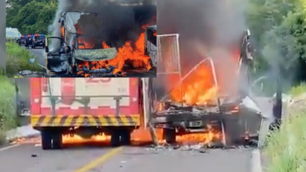 Video: Michoacán en llamas, continuan los enfrentamientos armados