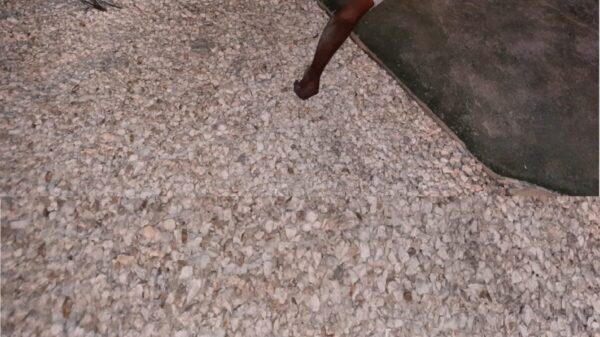 Falla al cortar cables eléctricos y lo mata una poderosa descarga