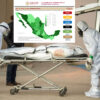Asciende México a cuarto lugar mundial en muertes por covid-19