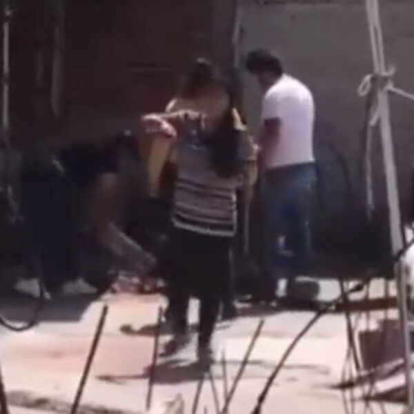 Video: Familia apalea a su perrito hasta matarlo