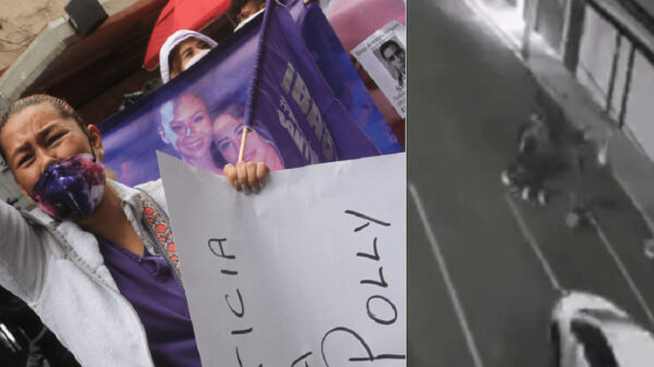 Muere joven atropellada por “invitado no deseado”