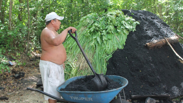 Lluvias afectan producción de carboneros en La Esperanza