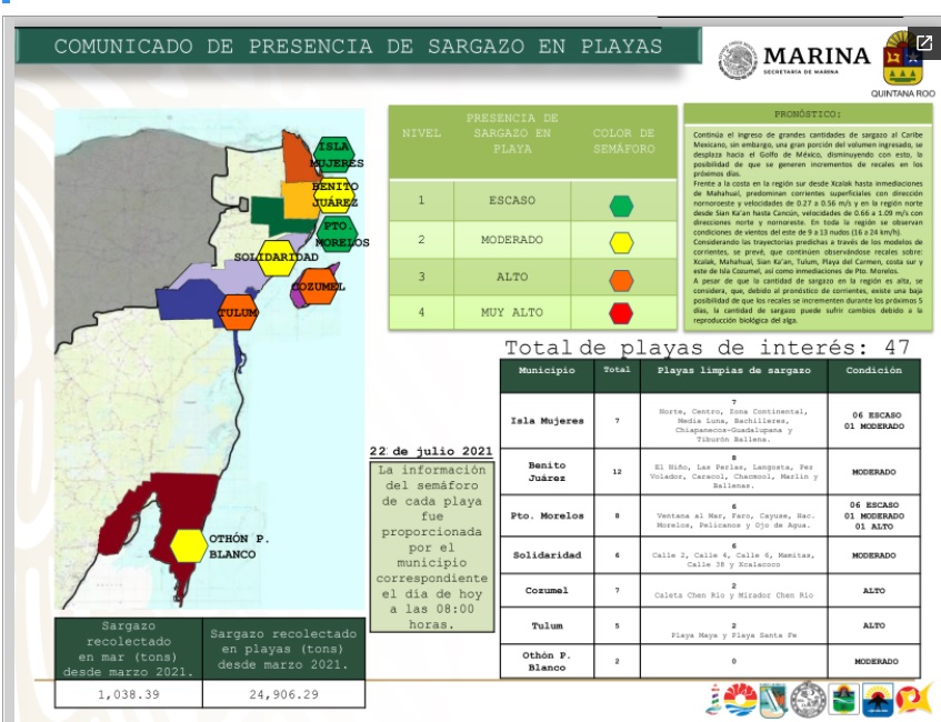 El reporte diario del comportamiento del sargazo en la entidad puede consultarse en la página de la SEMA.