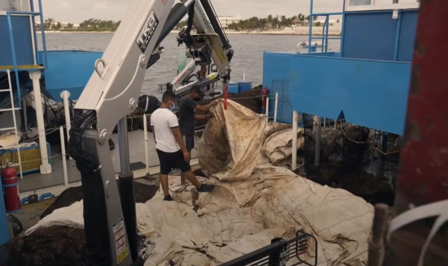 Quintana Roo: Recolectan del sargazo en el océano, costa y playas; participan 36q elementos de la Semar, 168 municipales y embarcaciones.
